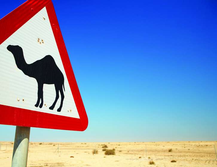 Triangular road sign warning of camels in a desert landscape under a clear blue sky