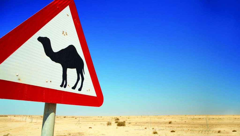 Triangular camel warning road sign set against a desert landscape and clear blue sky