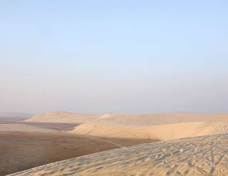 Vast sand dunes stretching across a desert landscape under a pale sky