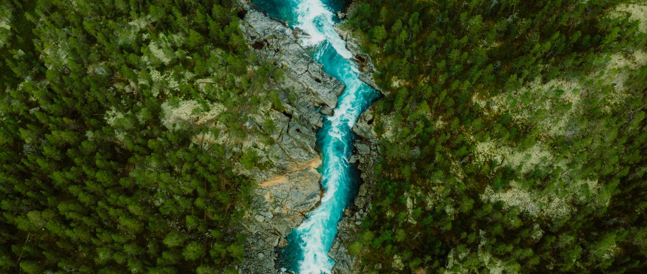 Aerial view of a turquoise river flowing through a rocky gorge surrounded by dense pine forest